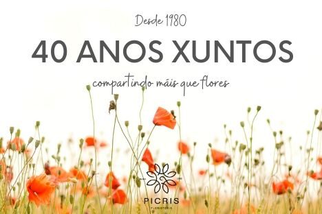 portada_facebook galego