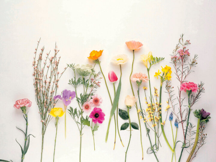 floristeria-picris-flores-de-temporada