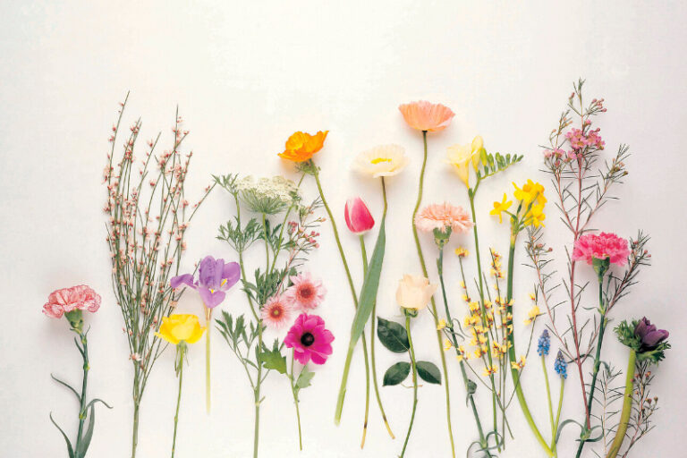 floristeria-picris-flores-de-temporada