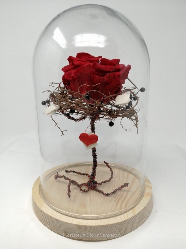 Rosa roja eterna en cúpula de de cristal y madera. Envíos en Madrid.