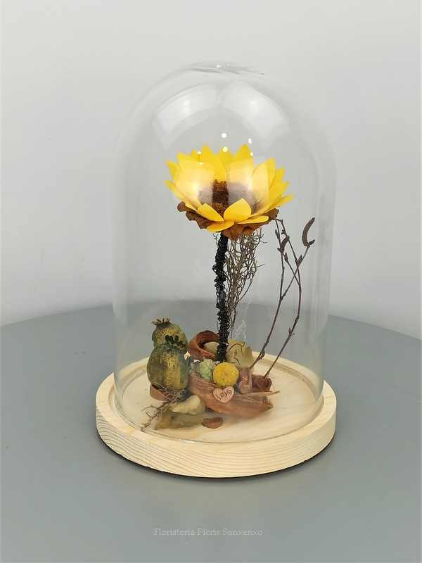 Cúpula de Cristal Flor Preservada Girasol | Picris