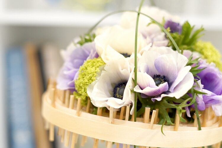 picris_58 comprar flores en pontevedra