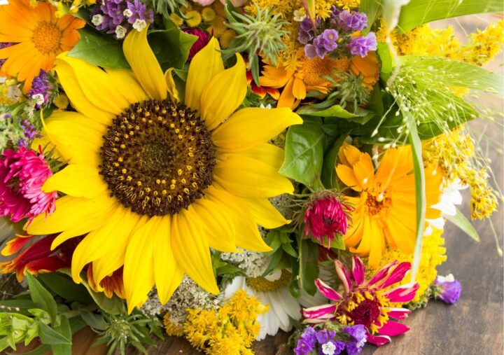 flores de verano flores de verano