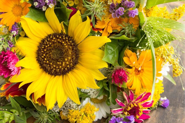 flores de verano flores de verano