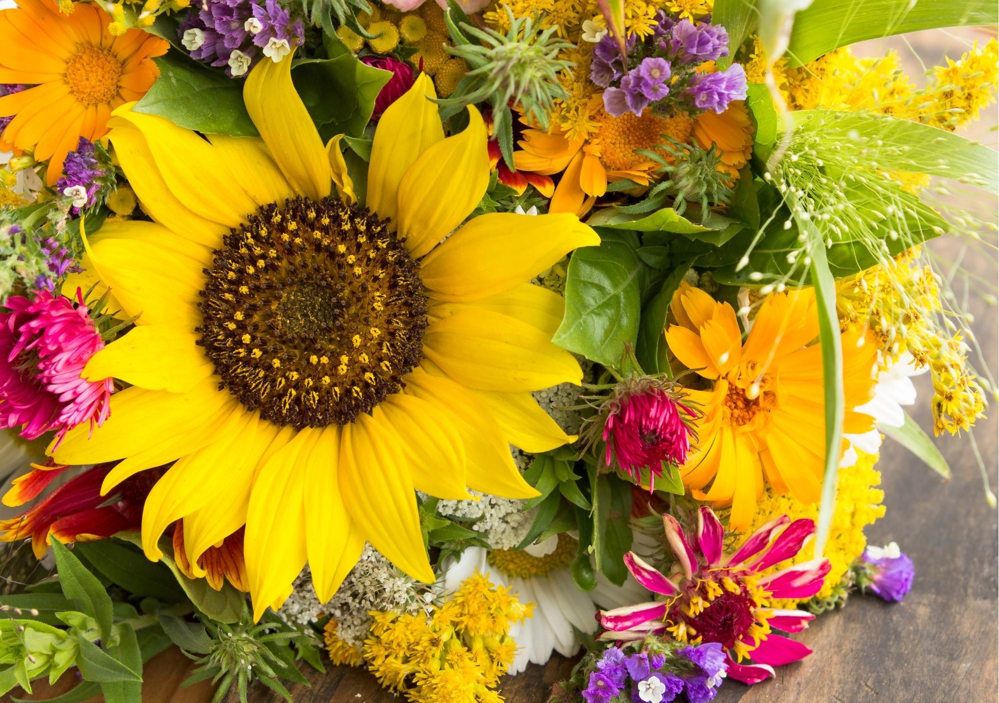 flores de verano flores de verano