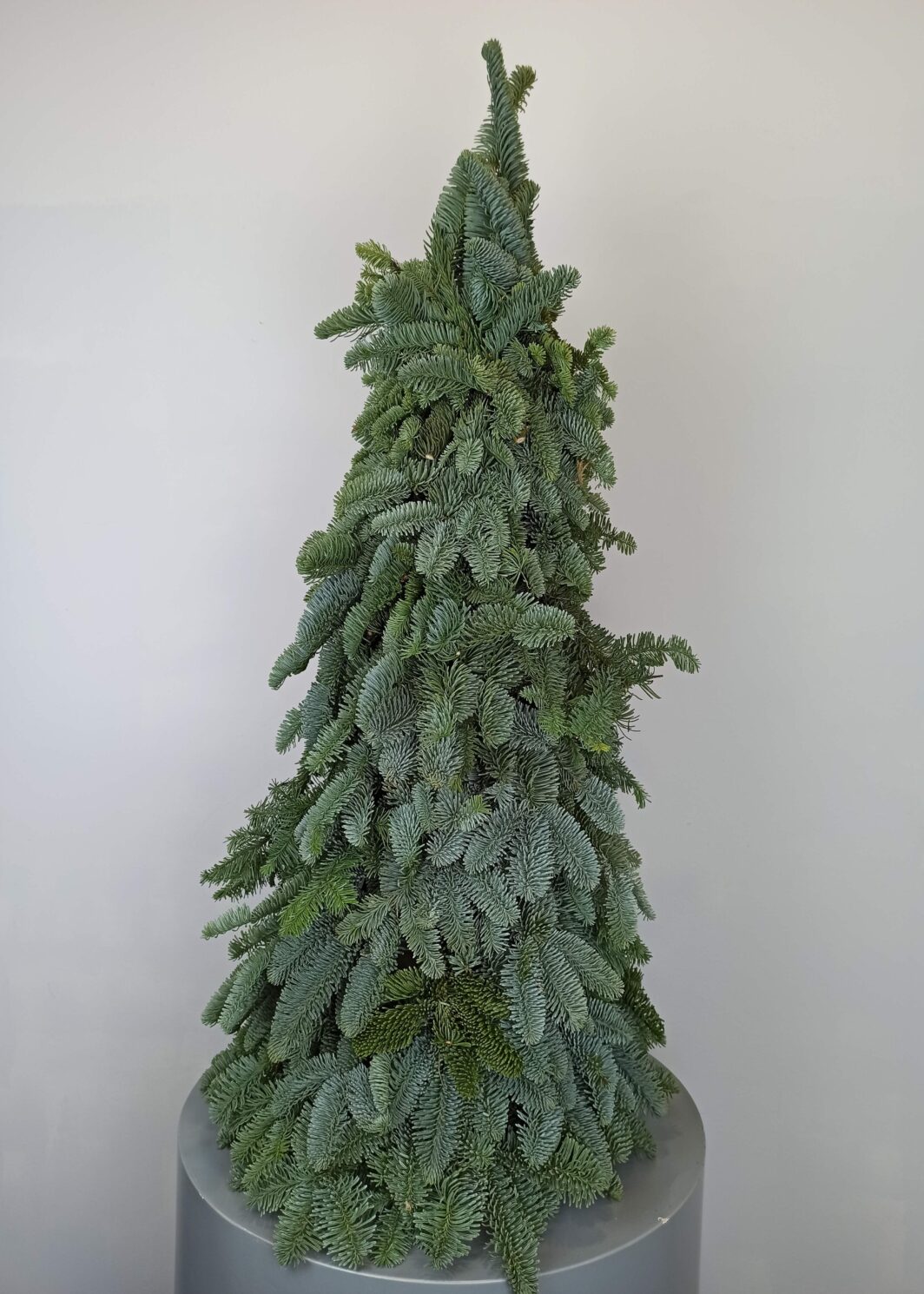 Mini Árbol de Navidad sin decorar