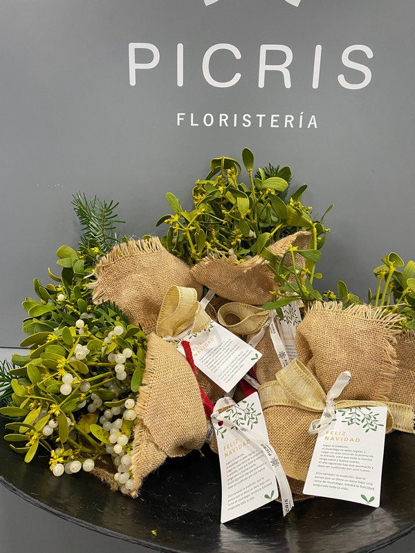 Muérdago de la suerte