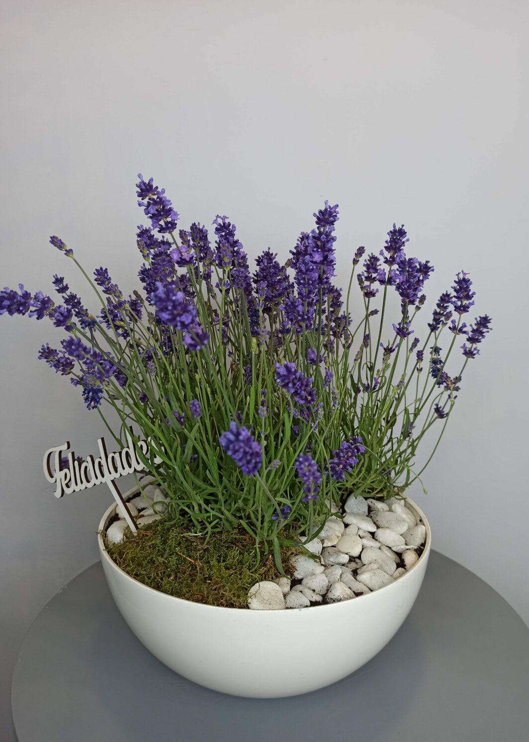 Composición de Lavandas
