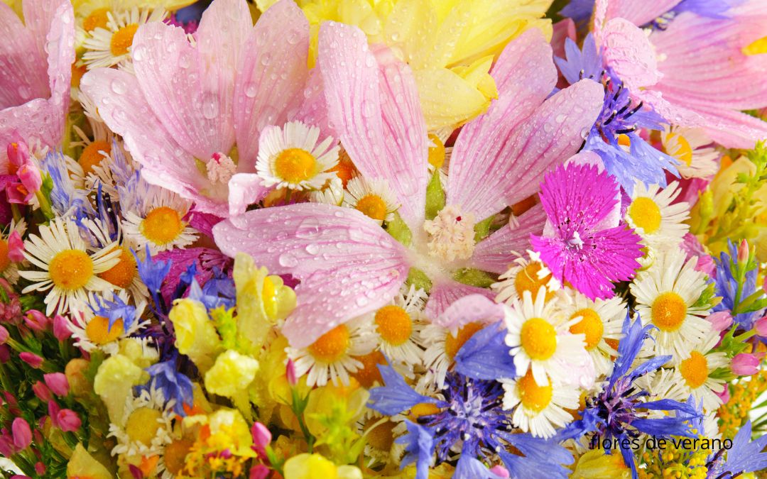 flores de verano