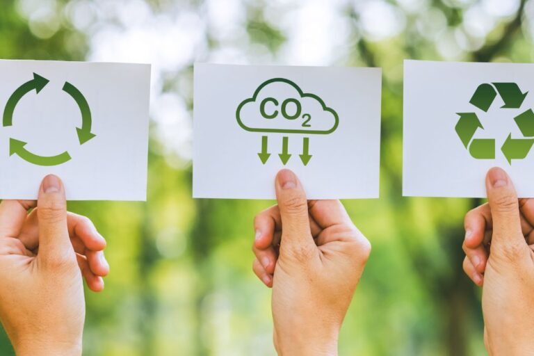 decoración sostenible