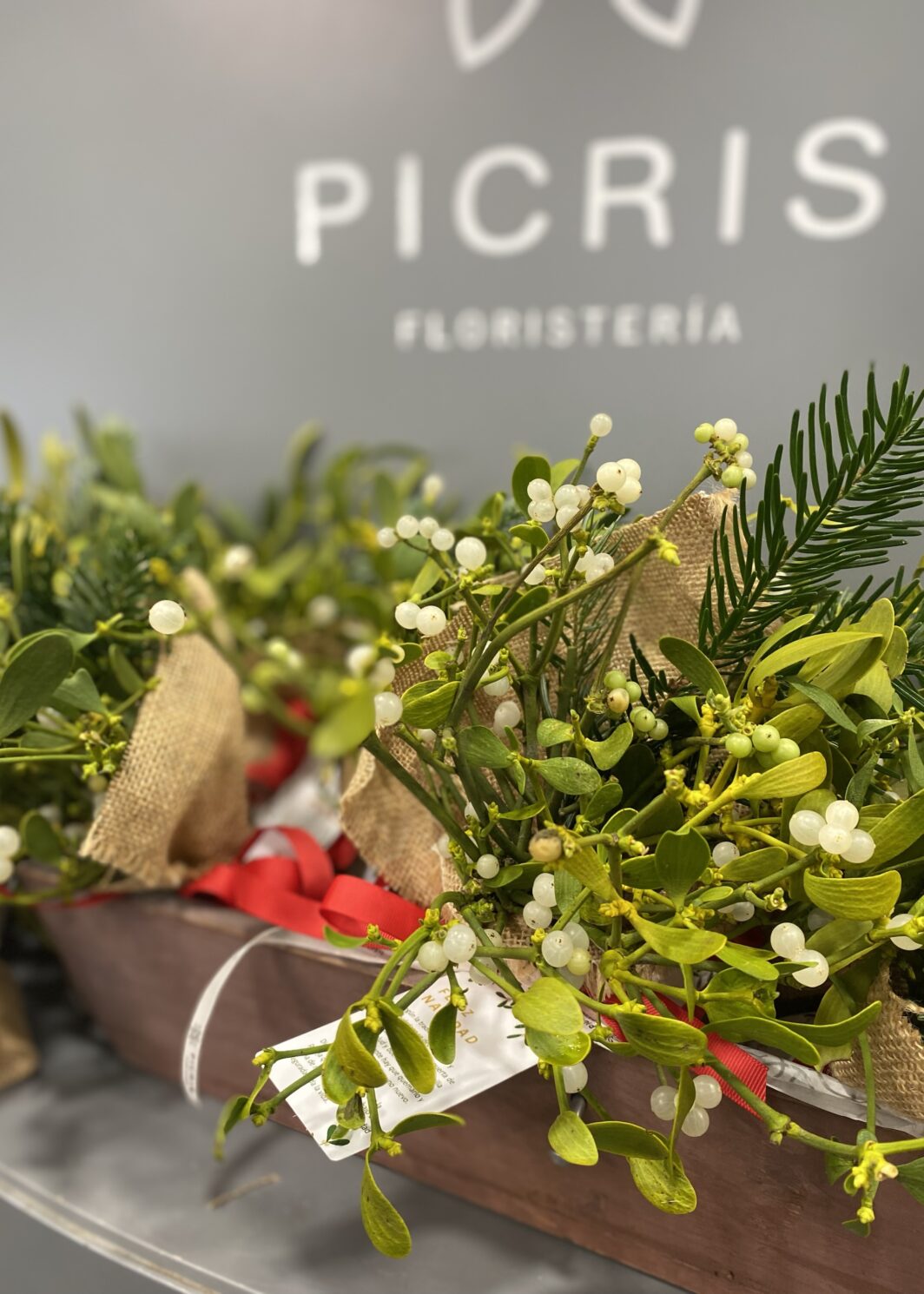 Muérdago de la suerte