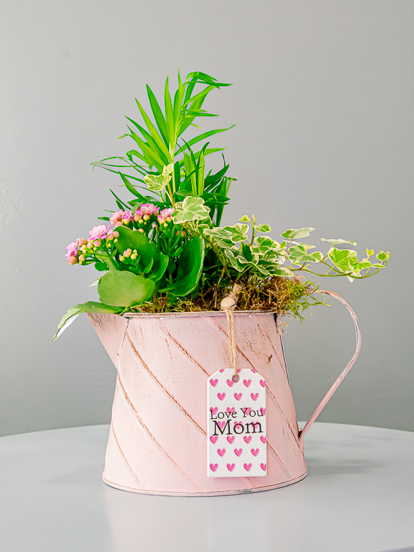 Jardinera con plantas variadas