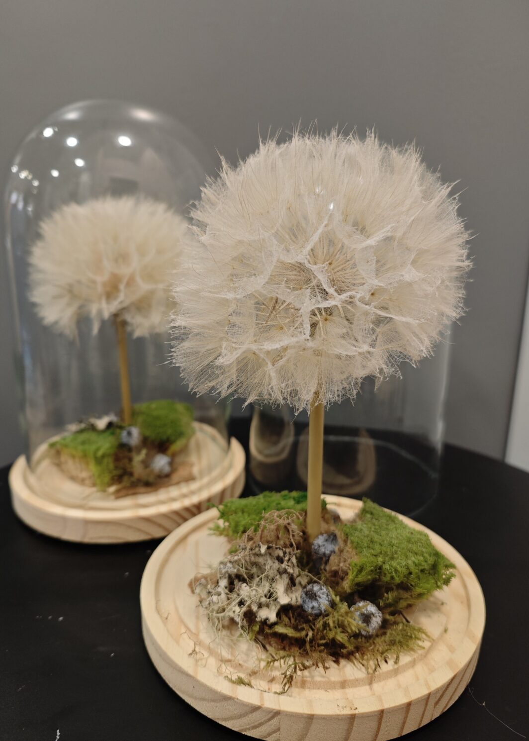 Diente de león Natural