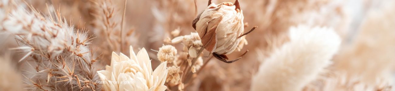 flores secas a granel