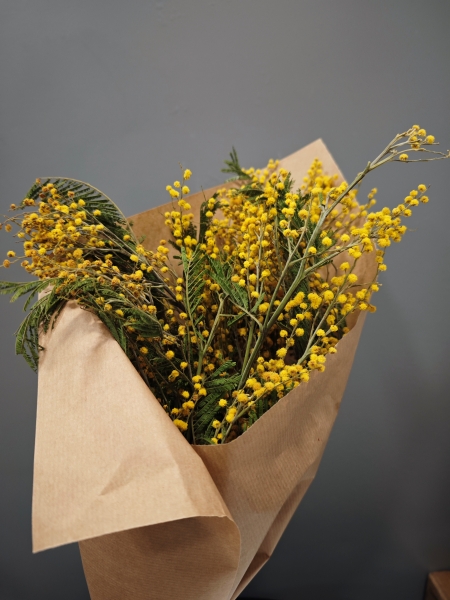 ramo de mimosa