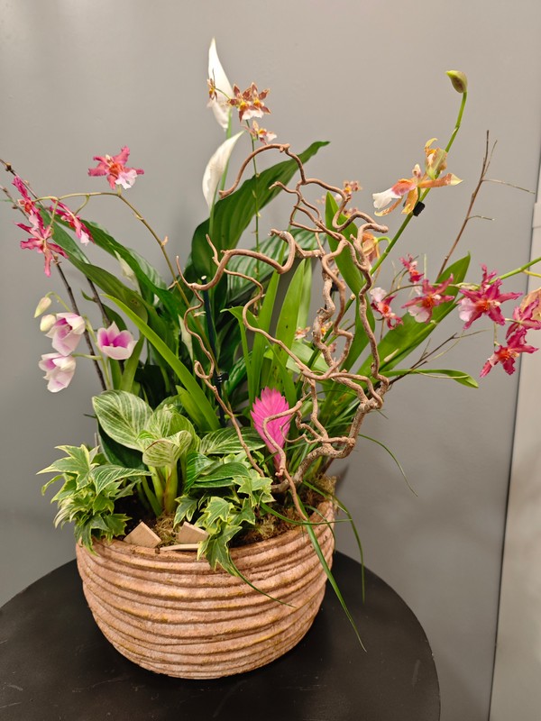 Centro grande con Orquídeas